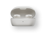 Bose QuietComfort Earbuds Smoke White Case