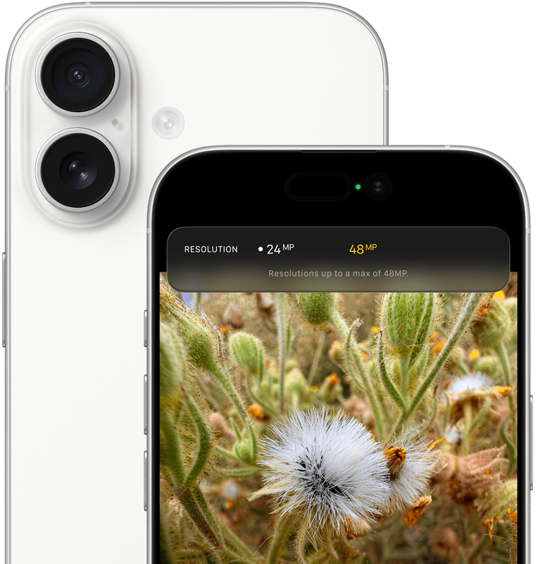 iPhone 17 Dual Fusion camera system